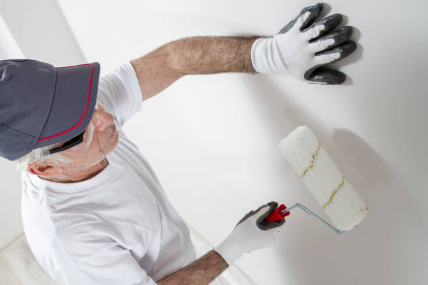 Best Mold Odor Removal Services  in Wesley Hills, NY